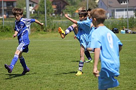 IMG_6633.jpg IMG_6633.jpg