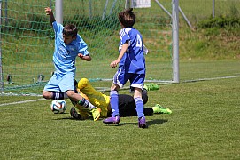IMG_6635.jpg IMG_6635.jpg