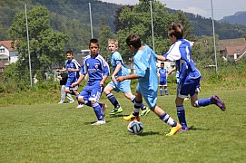 IMG_6641.jpg IMG_6641.jpg