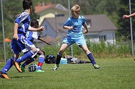 IMG_6644.jpg IMG_6644.jpg