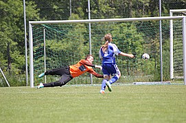 IMG_6645.jpg IMG_6645.jpg