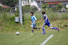 IMG_6648.jpg IMG_6648.jpg