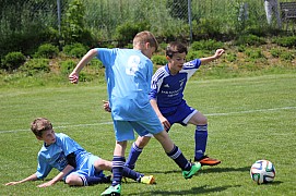 IMG_6682.jpg IMG_6682.jpg