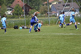 IMG_6688.jpg IMG_6688.jpg