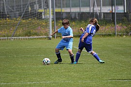 IMG_6696.jpg IMG_6696.jpg