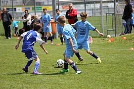 IMG_6702.jpg IMG_6702.jpg