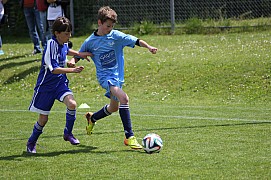 IMG_6705.jpg IMG_6705.jpg