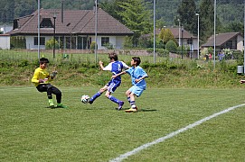 IMG_6710.jpg IMG_6710.jpg