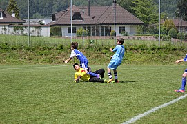IMG_6711.jpg IMG_6711.jpg