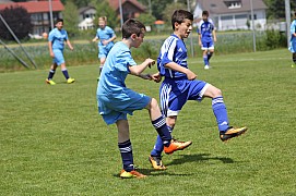 IMG_6741.jpg IMG_6741.jpg