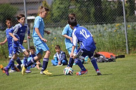 IMG_6795.jpg IMG_6795.jpg