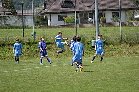 IMG_6853.jpg IMG_6853.jpg