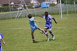 IMG_6868.jpg IMG_6868.jpg