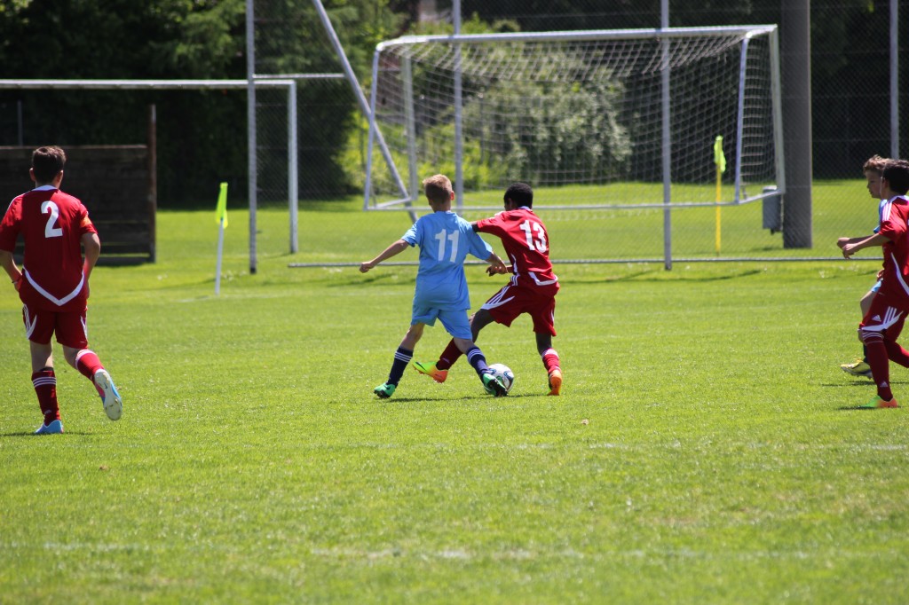 IMG_7080.jpg