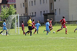 IMG_7028.jpg IMG_7028.jpg