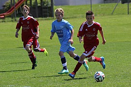 IMG_7031.jpg IMG_7031.jpg