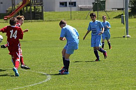 IMG_7032.jpg IMG_7032.jpg