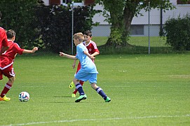 IMG_7034.jpg IMG_7034.jpg