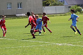 IMG_7046.jpg IMG_7046.jpg