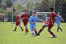 IMG_7066.jpg IMG_7066.jpg