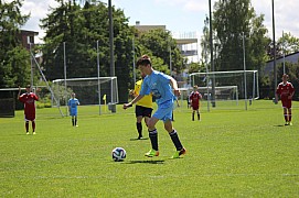 IMG_7074.jpg IMG_7074.jpg