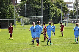 IMG_7076.jpg IMG_7076.jpg