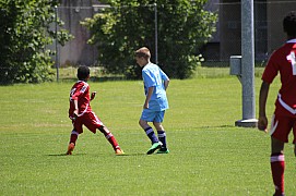 IMG_7083.jpg IMG_7083.jpg