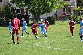 IMG_7088.jpg IMG_7088.jpg