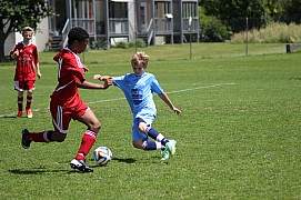 IMG_7092.jpg IMG_7092.jpg