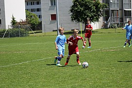 IMG_7094.jpg IMG_7094.jpg