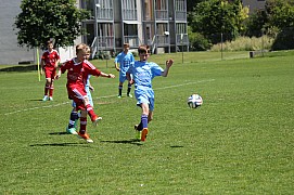 IMG_7095.jpg IMG_7095.jpg
