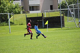 IMG_7102.jpg IMG_7102.jpg