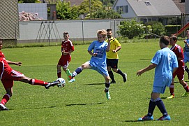 IMG_7108.jpg IMG_7108.jpg