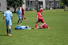 IMG_7111.jpg IMG_7111.jpg