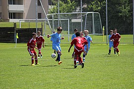 IMG_7149.jpg IMG_7149.jpg