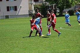 IMG_7153.jpg IMG_7153.jpg