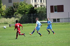 IMG_7160.jpg IMG_7160.jpg