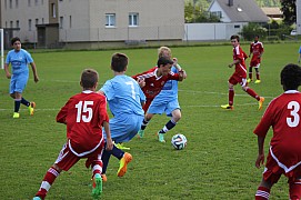 IMG_7181.jpg IMG_7181.jpg