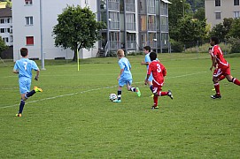 IMG_7184.jpg IMG_7184.jpg