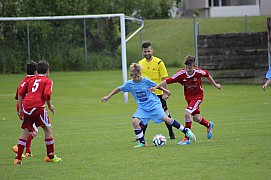 IMG_7190.jpg IMG_7190.jpg