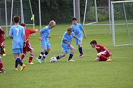 IMG_7197.jpg IMG_7197.jpg