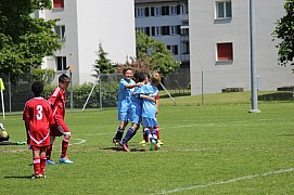 IMG_7208.jpg IMG_7208.jpg