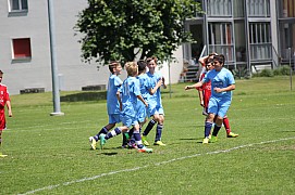 IMG_7209.jpg IMG_7209.jpg