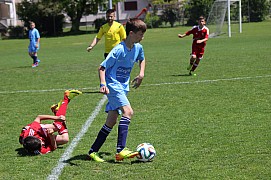 IMG_7222.jpg IMG_7222.jpg