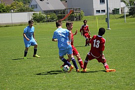 IMG_7223.jpg IMG_7223.jpg