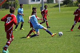 IMG_7225.jpg IMG_7225.jpg