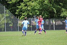IMG_7238.jpg IMG_7238.jpg