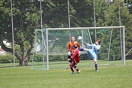 IMG_7239.jpg IMG_7239.jpg