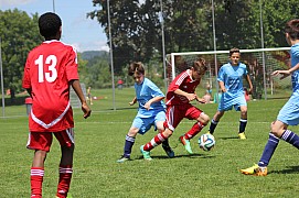 IMG_7241.jpg IMG_7241.jpg