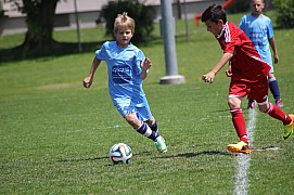 IMG_7255.jpg IMG_7255.jpg